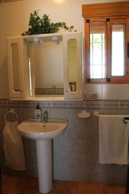 Cortijo Aurelia Villa Pozo Alcon Ngoại thất bức ảnh